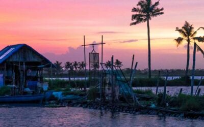 Top 5 Unique Experiences in Kadamakudy