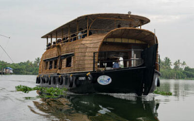“Best Backwater Cruises in Kochi: A Serene Escape into Nature”