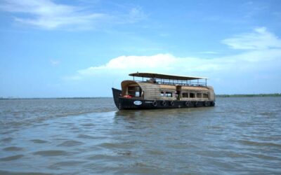 AquaSynergy – Full-Day Corporate Retreat in the Backwaters