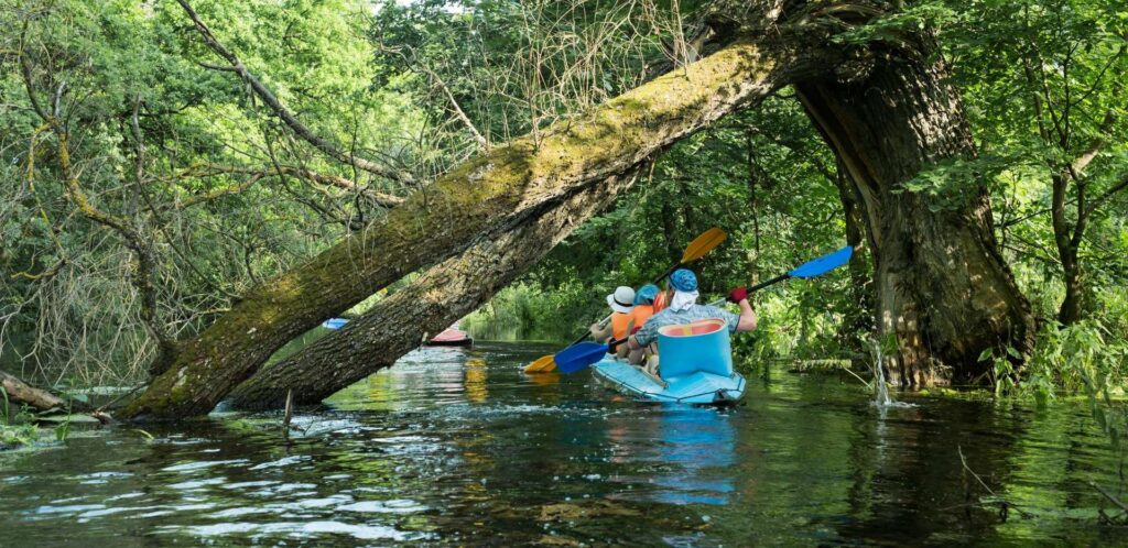 kayaking in kochi