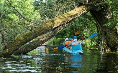 Paddle into Paradise: Discover the Hidden Backwaters of Kadamakkudy with Ben’s Cruise