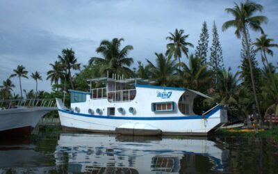 Twilight Delight – Sunset Cruise with High Tea