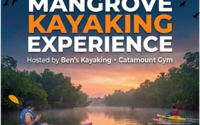 Ben’s Cruise: Paddle Into Pure Adventure