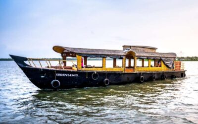 Looking for an Authentic Kochi Backwater Tour